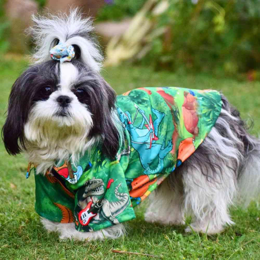 DogsMart Dino Rockstar All Weather T Shirt For Dogs